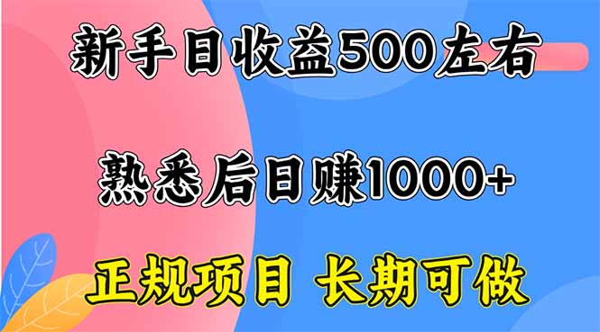 新手日收益500+ 正规项目 长期可做-跃知万川