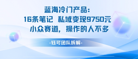 蓝海项目：16条笔记私域变现9750米小众赛道操作的人不多-跃知万川