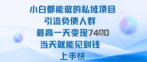 2025年小白都能做的私域项目引流负债人群最高一天变现1k+高变现难度低当天就能见到钱上手快-跃知万川