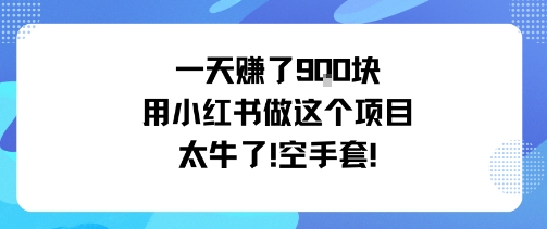 一天挣了9张用小红书做这个项目太牛了，空手套-跃知万川