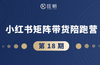盗坤·抖音小红书视频号短视频带货与直播变现(11-18期)-跃知万川