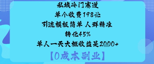 私域冷门赛道:单个收费198米引流模板简单人群精准转化45%单人一天大概收益是1k+-跃知万川