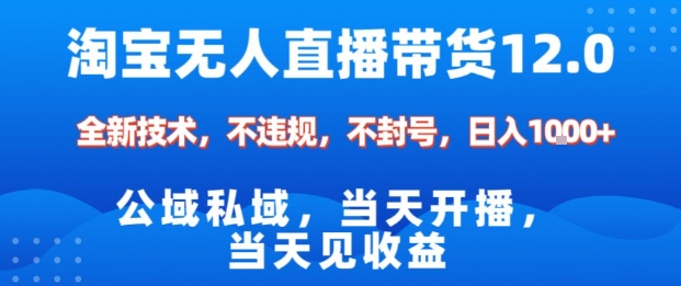 淘宝无人直播12.0，公域私域技术，不封号，不违规布局双十一流量风口，日入1k(独家技术)【揭秘】-跃知万川