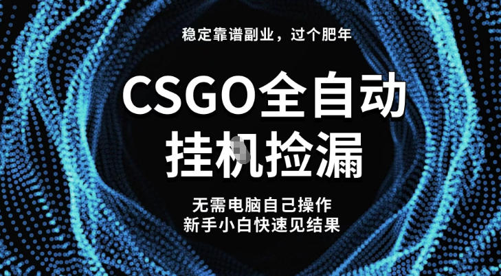 【稳定副业】全球最热门游戏CSGO全自动捡漏，最新玩法，新手小白日入5张+【揭秘】-跃知万川