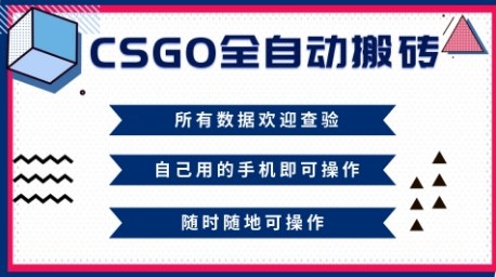 CSGO全自动搬砖，年底钱回家好项目，当天可拿到结果，新手小白轻松月入1W+【揭秘】-跃知万川