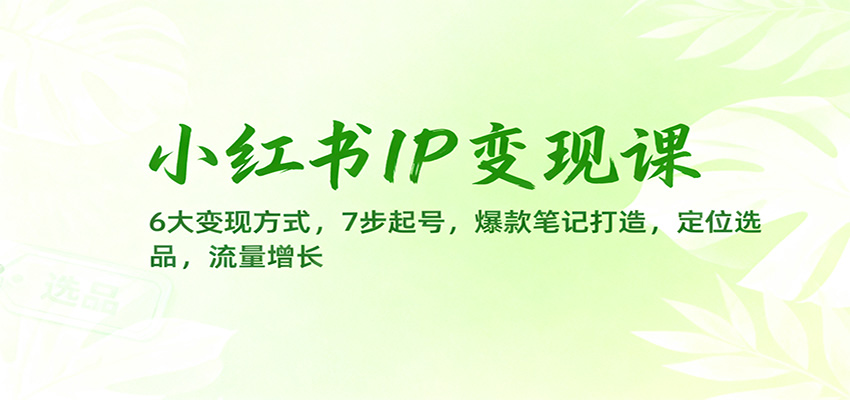小红书IP变现课：6大变现方式，7步起号，爆款笔记打造，定位选品，流量增长-跃知万川