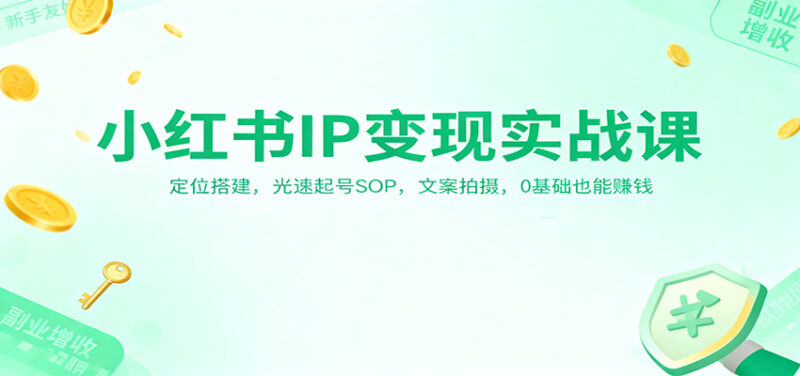 小红书IP变现实战课：定位搭建，光速起号SOP，文案拍摄，0基础也能赚钱-跃知万川