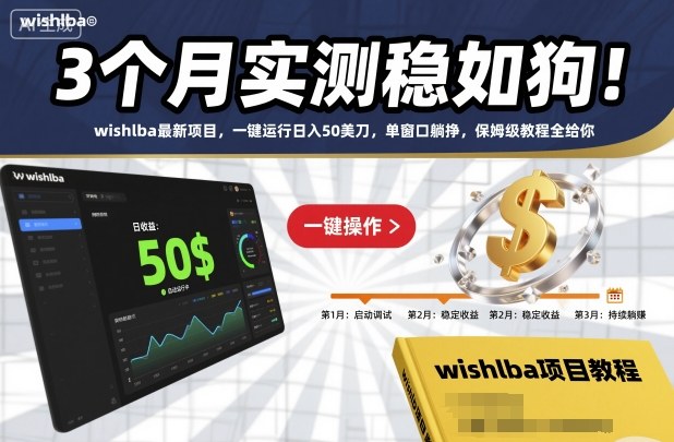 3个月实测稳如狗!wishlba最新项目,一键运行日入50美刀,单窗口躺挣,保姆级教程全给你【揭秘】-跃知万川