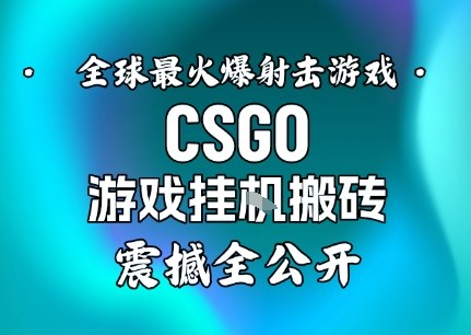 【年底大揭秘】基于全球最火爆的射击CSGO游戏挂G搬砖，日入5张+，震撼公开-跃知万川