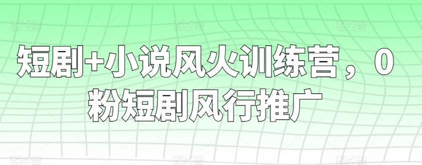 短剧+小说风火训练营，0粉短剧风行推广-跃知万川