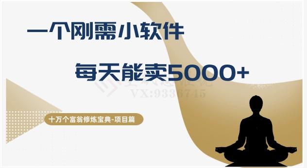 十万个富翁修炼宝典之17.一个刚需小软件，每天能卖5000+-跃知万川