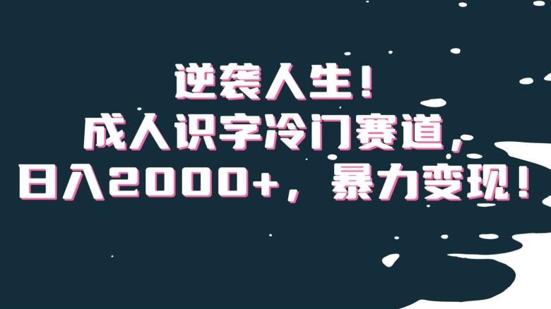 逆袭人生！成人识字冷门赛道，日入2000+，暴力变现！【揭秘】-跃知万川