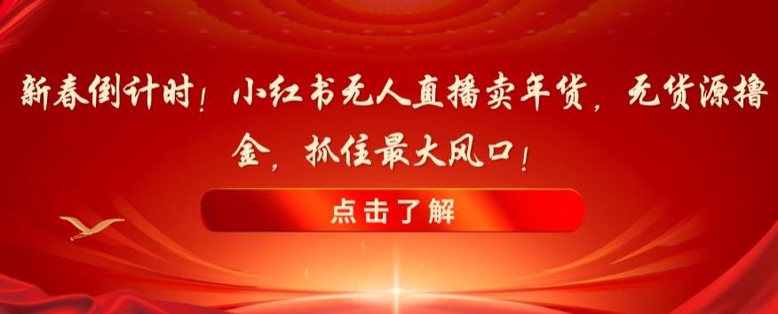 新春倒计时！小红书无人直播卖年货，无货源撸金，抓住最大风口【揭秘】-跃知万川