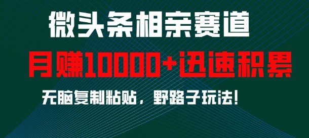 微头条相亲赛道，迅速积累，无脑复制粘贴，野路子玩法，月入1w-跃知万川