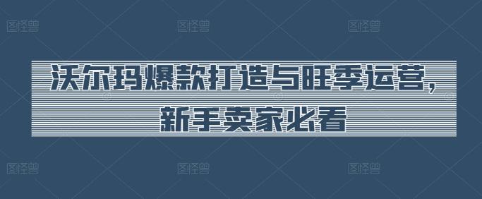 沃尔玛爆款打造与旺季运营，新手卖家必看-跃知万川