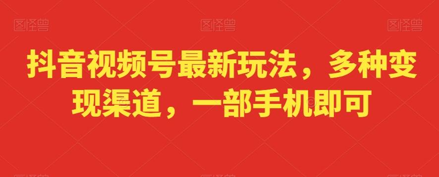 抖音视频号最新玩法，多种变现渠道，一部手机即可-跃知万川