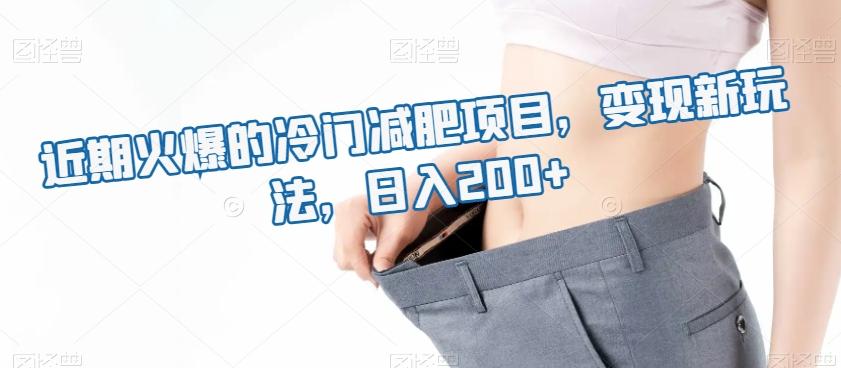 近期火爆的冷门减肥项目，变现新玩法，日入200+-跃知万川
