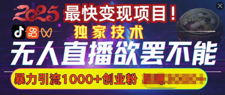 欲罢不能的无人直播引流，超暴力日引流1000+高质量精准创业粉-跃知万川