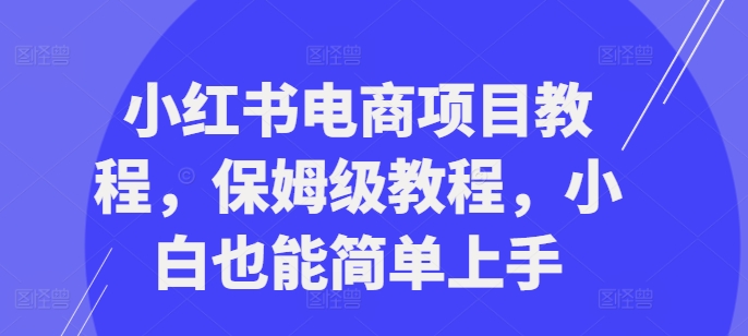 小红书电商项目教程，保姆级教程，小白也能简单上手-跃知万川