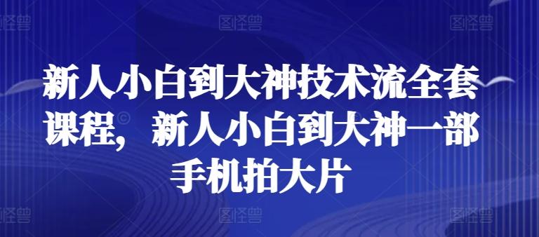 新人小白到大神技术流全套课程，新人小白到大神一部手机拍大片-跃知万川