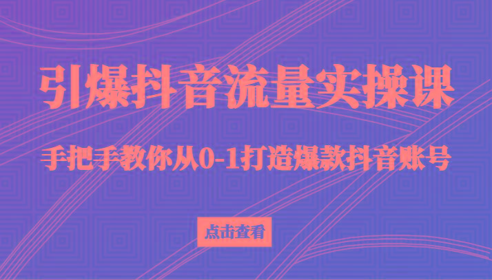 引爆抖音流量实操课，手把手教你从0-1打造爆款抖音账号(27节课)-跃知万川