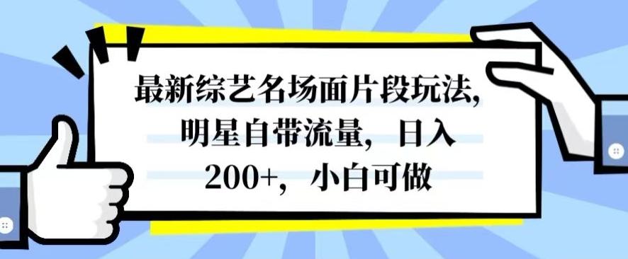 最新综艺名场面片段玩法，明星自带流量，日入200+，小白可做【揭秘】-跃知万川