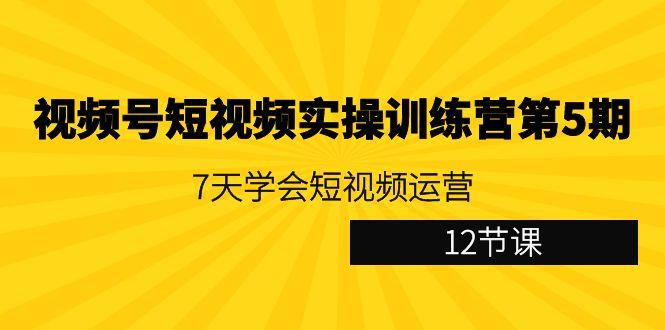 视频号短视频实操训练营第5期：7天学会短视频运营(12节课)-跃知万川