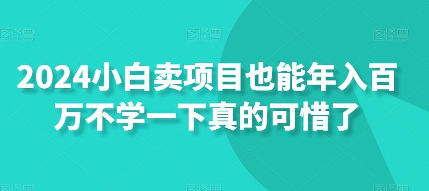 2024小白卖项目也能年入百万不学一下真的可惜了-跃知万川