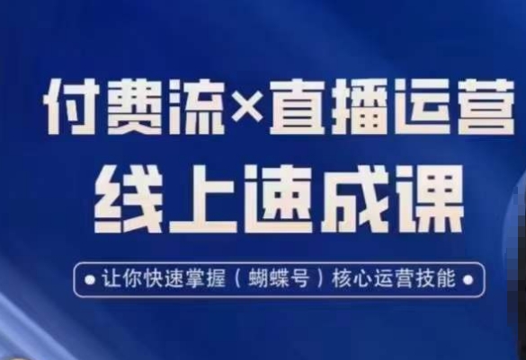 视频号付费流实操课程，付费流✖️直播运营速成课，让你快速掌握视频号核心运营技能-跃知万川