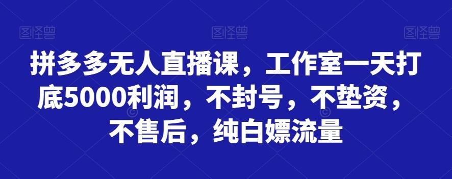 拼多多无人直播课，工作室一天打底5000利润，不封号，不垫资，不售后，纯白嫖流量-跃知万川