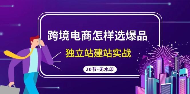 (9369期)跨境电商怎样选爆品，独立站建站实战(20节高清无水印课)-跃知万川