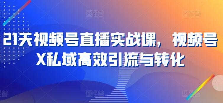 21天视频号直播实战课，视频号X私域高效引流与转化-跃知万川