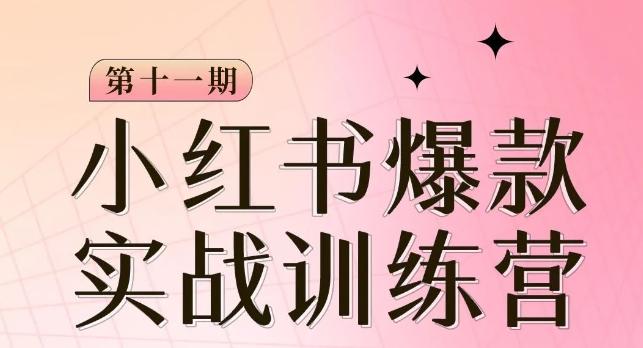 小红书博主爆款训练营第11期，手把手教你从0-1做小红书，从定位到起号到变现-跃知万川