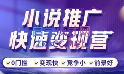 洲洲老师·小说推广快速变现营-跃知万川