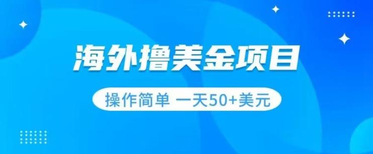 撸美金项目无门槛操作简单小白一天50+美刀-跃知万川