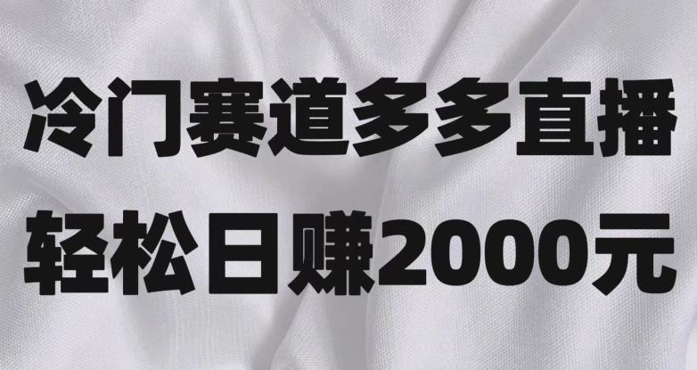 冷门赛道拼多多直播，简单念稿子，日收益2000＋【揭秘】-跃知万川
