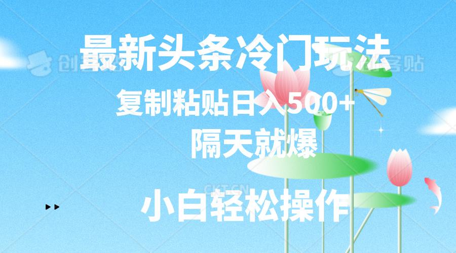 最新头条冷门玩法，隔天就爆，复制粘贴日入500+-跃知万川