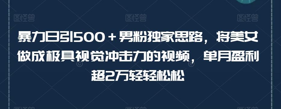 暴力日引500＋男粉独家思路，将美女做成极具视觉冲击力的视频，单月盈利超2万轻轻松松-跃知万川