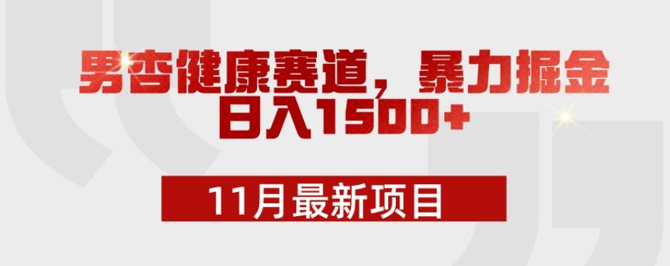 11月最新项目，男杏健康赛道，暴力掘金，日入1500+-跃知万川