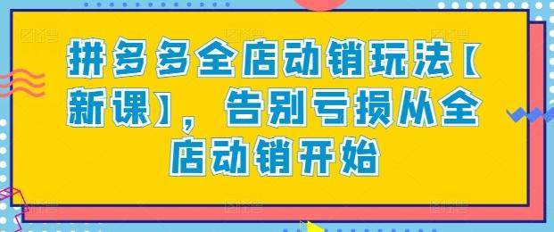 拼多多全店动销玩法【新课】，告别亏损从全店动销开始-跃知万川