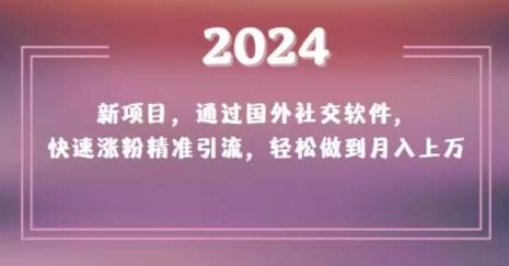 2024新项目，通过国外社交软件，快速涨粉精准引流，轻松做到月入上万【揭秘】-跃知万川