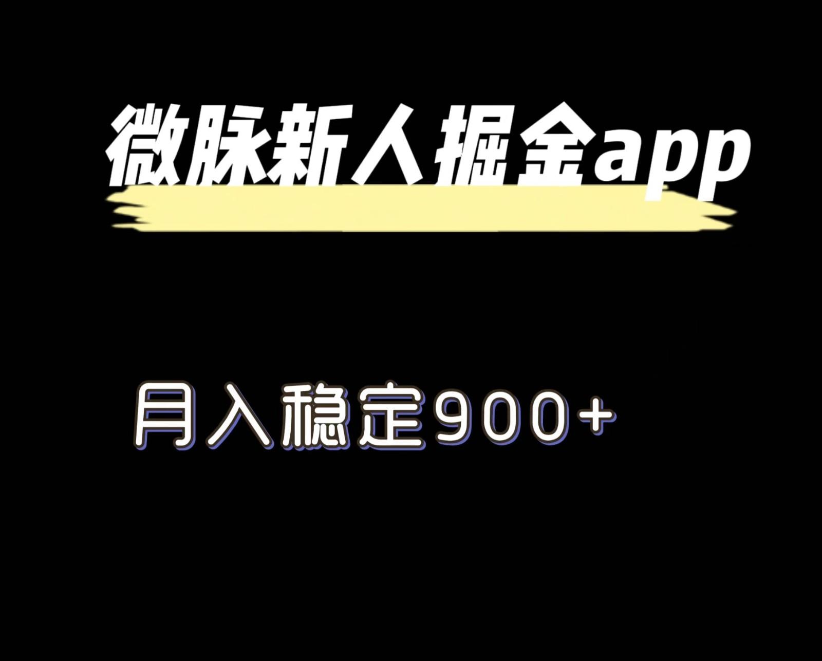 最新微脉长久项目，拉新掘金，月入稳定900+-跃知万川