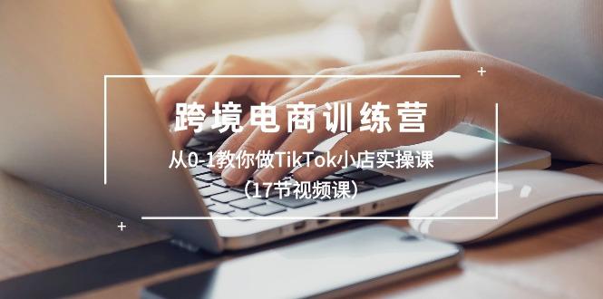 跨境电商训练营：从0-1教你做TikTok小店实操课(17节视频课-跃知万川