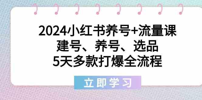 2024小红书养号+流量课：建号、养号、选品，5天多款打爆全流程-跃知万川