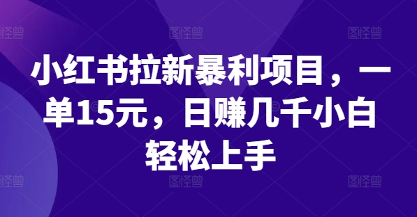 小红书拉新暴利项目，一单15元，日赚几千小白轻松上手【揭秘】-跃知万川