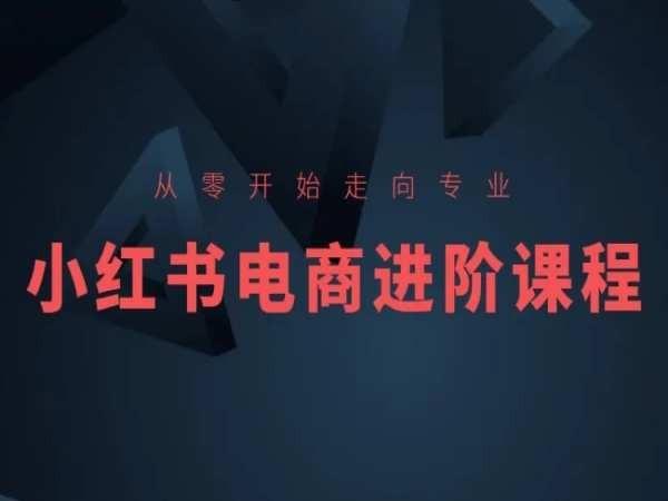 从零开始走向专业，小红书电商进阶课程-跃知万川