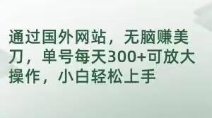 通过国外网站，无脑赚美刀，单号每天300+可放大操作，小白轻松上手【揭秘】-跃知万川