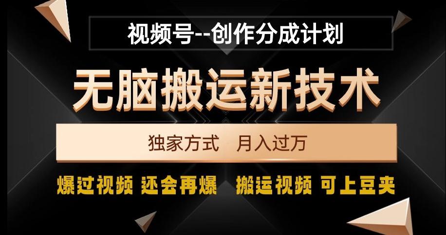 视频号无脑搬运新技术，破原创壕流量，独家方式，爆过视频，还会再爆【揭秘】-跃知万川