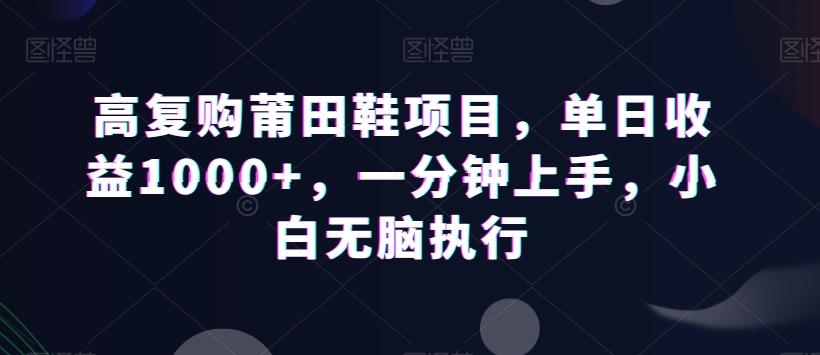 高复购莆田鞋项目，单日收益1000+，一分钟上手，小白无脑执行-跃知万川