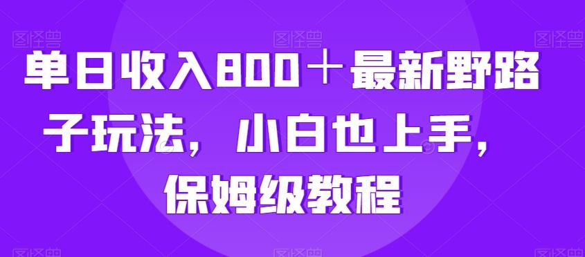 单日收入800＋最新野路子玩法，小白也上手，保姆级教程-跃知万川
